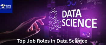 What Are the Top Job Roles in Data Science Today?